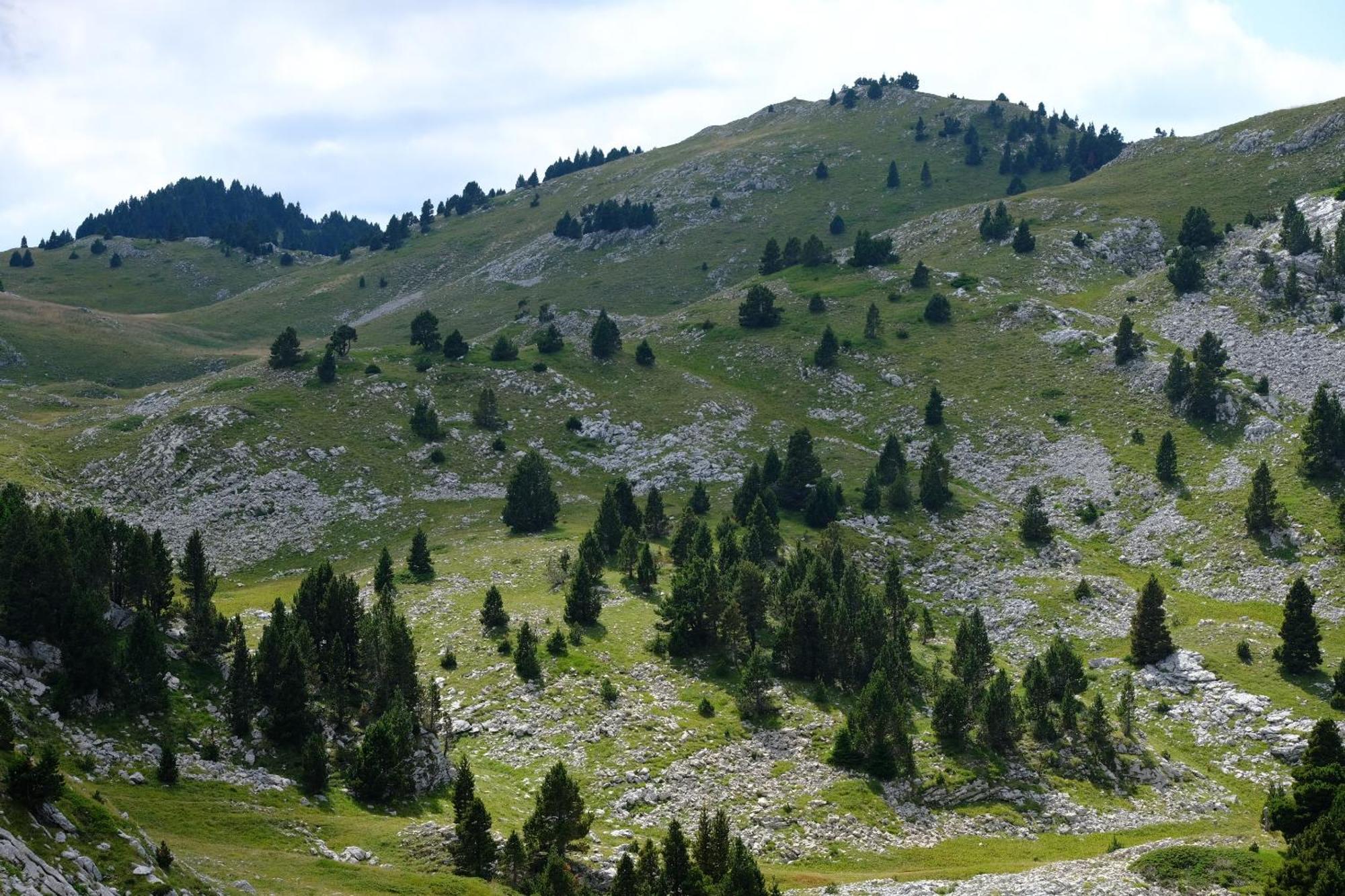 Des Rosiers Holiday home Lans-en-Vercors