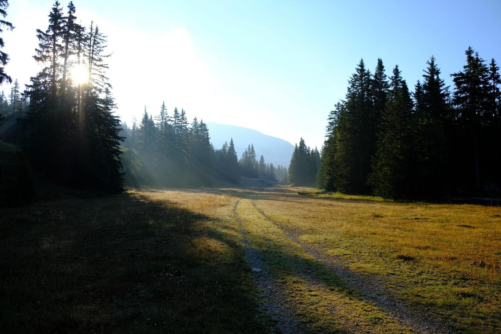 Holiday home Des Rosiers Lans-en-Vercors