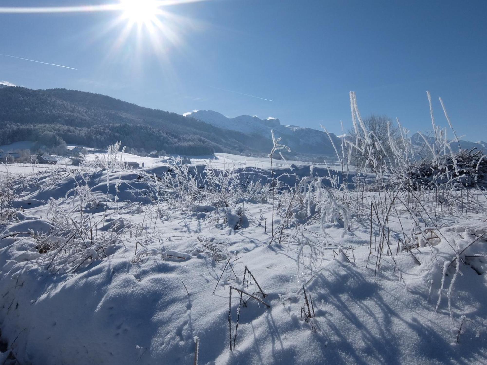 Des Rosiers * Lans-en-Vercors
